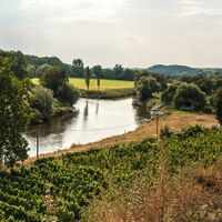 Naumburger Blütengrund